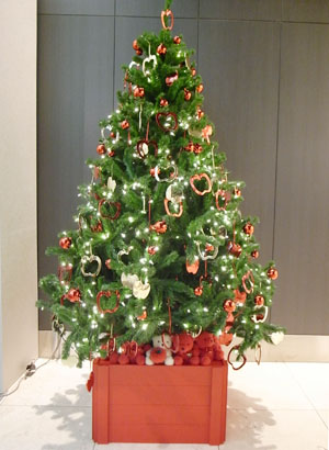 xmastree_1104.jpg