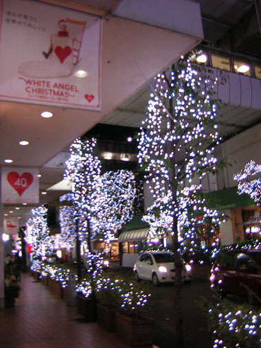 tamagawa_illumination.JPG